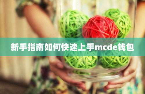 新手指南如何快速上手mcde钱包