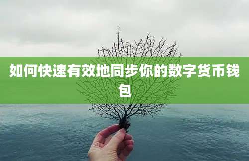 如何快速有效地同步你的数字货币钱包