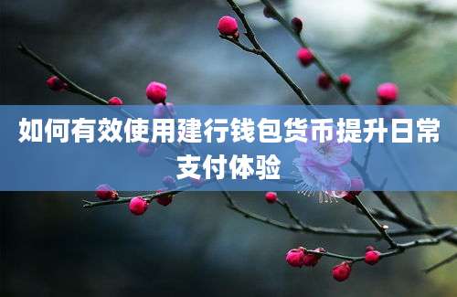 如何有效使用建行钱包货币提升日常支付体验