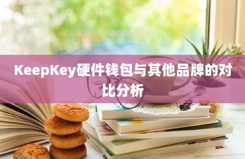 KeepKey硬件钱包与其他品牌的对比分析