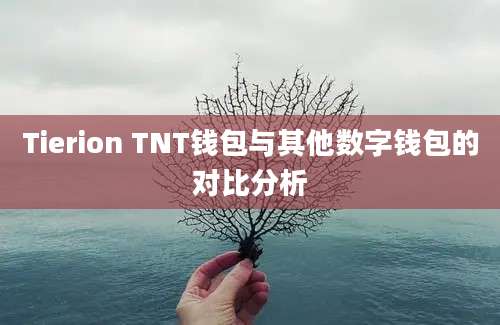 Tierion TNT钱包与其他数字钱包的对比分析