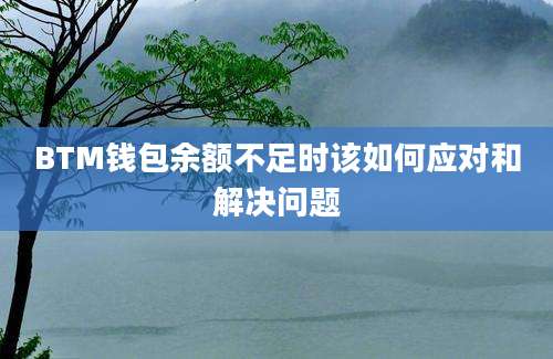 BTM钱包余额不足时该如何应对和解决问题