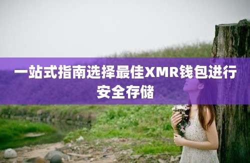 一站式指南选择最佳XMR钱包进行安全存储