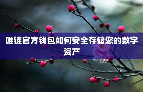 唯链官方钱包如何安全存储您的数字资产