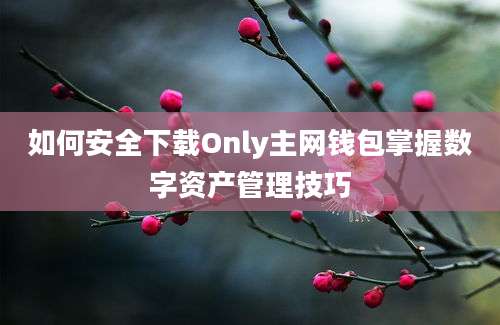 如何安全下载Only主网钱包掌握数字资产管理技巧