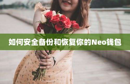 如何安全备份和恢复你的Neo钱包