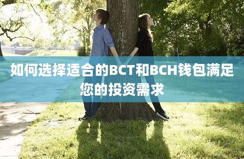 如何选择适合的BCT和BCH钱包满足您的投资需求