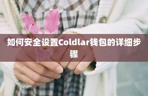 如何安全设置Coldlar钱包的详细步骤