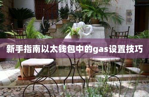 新手指南以太钱包中的gas设置技巧