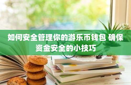 如何安全管理你的游乐币钱包 确保资金安全的小技巧