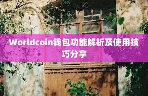 Worldcoin钱包功能解析及使用技巧分享