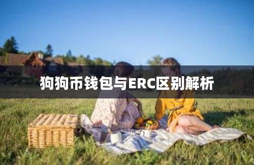 狗狗币钱包与ERC区别解析