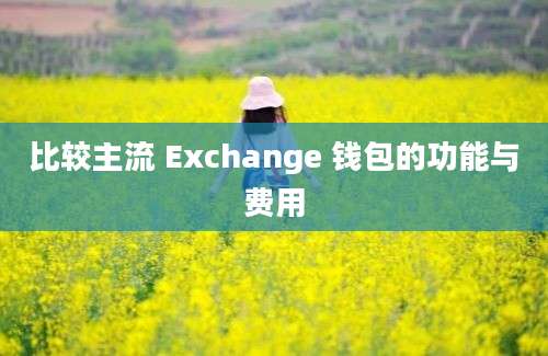 比较主流 Exchange 钱包的功能与费用