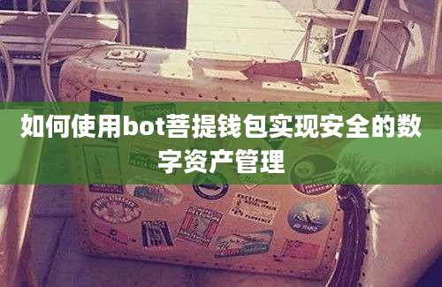 如何使用bot菩提钱包实现安全的数字资产管理