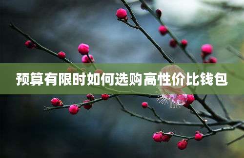 预算有限时如何选购高性价比钱包