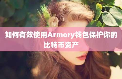 如何有效使用Armory钱包保护你的比特币资产