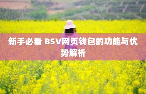 新手必看 BSV网页钱包的功能与优势解析