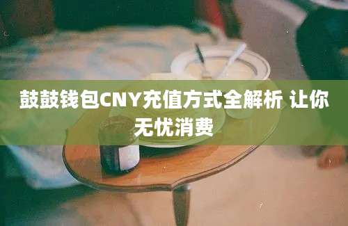 鼓鼓钱包CNY充值方式全解析 让你无忧消费