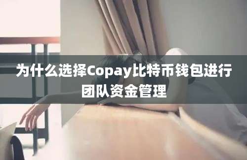 为什么选择Copay比特币钱包进行团队资金管理