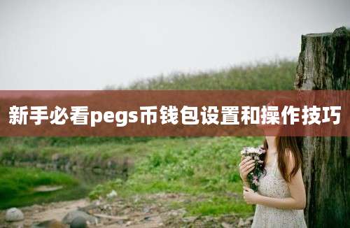 新手必看pegs币钱包设置和操作技巧