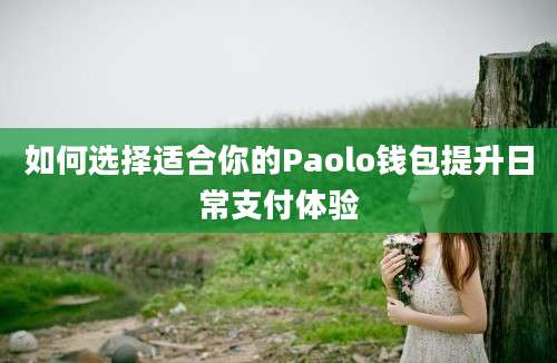 如何选择适合你的Paolo钱包提升日常支付体验