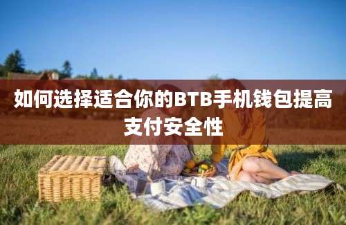 如何选择适合你的BTB手机钱包提高支付安全性