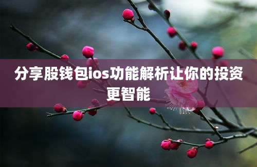 分享股钱包ios功能解析让你的投资更智能