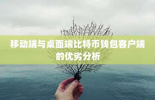 移动端与桌面端比特币钱包客户端的优劣分析