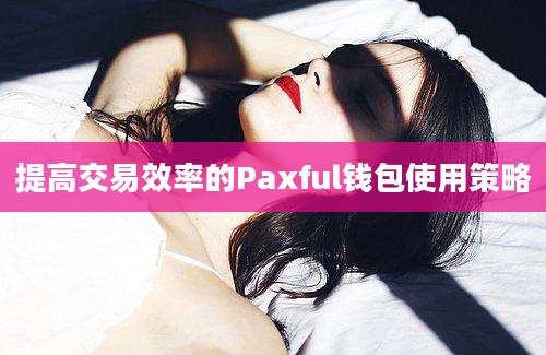 提高交易效率的Paxful钱包使用策略