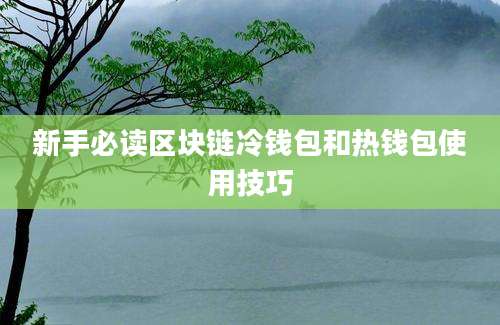 新手必读区块链冷钱包和热钱包使用技巧