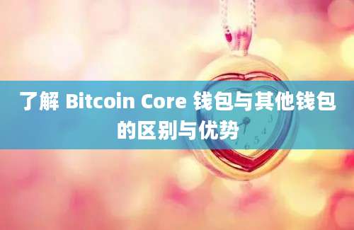 了解 Bitcoin Core 钱包与其他钱包的区别与优势