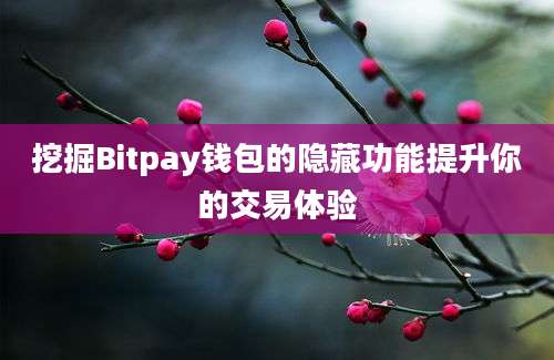 挖掘Bitpay钱包的隐藏功能提升你的交易体验