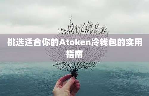 挑选适合你的Atoken冷钱包的实用指南