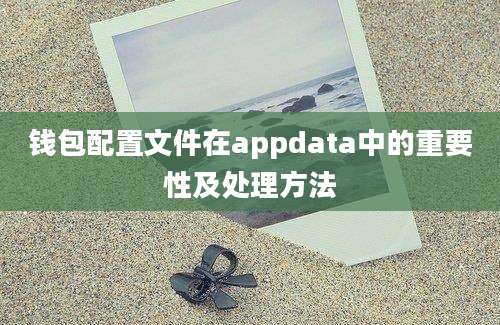 钱包配置文件在appdata中的重要性及处理方法