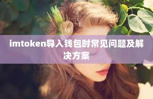 imtoken导入钱包时常见问题及解决方案