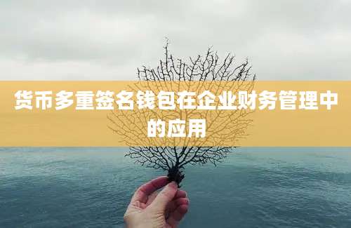 货币多重签名钱包在企业财务管理中的应用