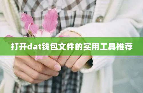 打开dat钱包文件的实用工具推荐