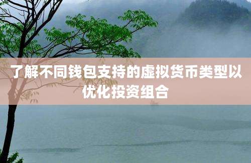 了解不同钱包支持的虚拟货币类型以优化投资组合