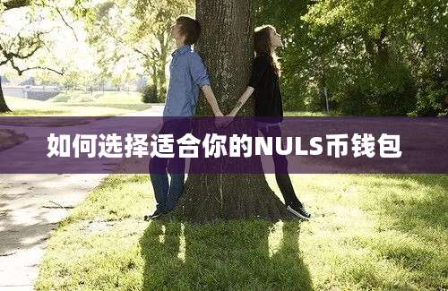 如何选择适合你的NULS币钱包