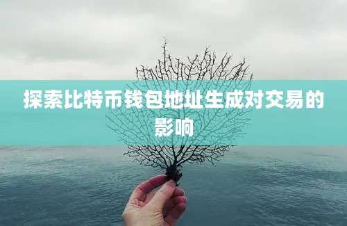 探索比特币钱包地址生成对交易的影响