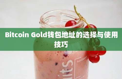 Bitcoin Gold钱包地址的选择与使用技巧