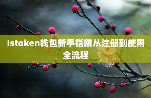 Istoken钱包新手指南从注册到使用全流程