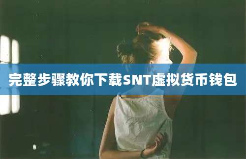 完整步骤教你下载SNT虚拟货币钱包