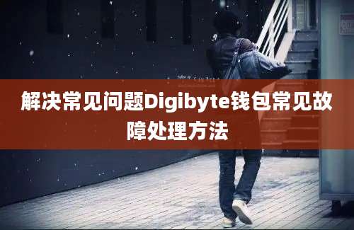 解决常见问题Digibyte钱包常见故障处理方法