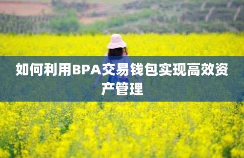 如何利用BPA交易钱包实现高效资产管理