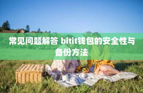 常见问题解答 bitit钱包的安全性与备份方法