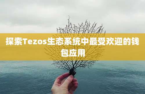 探索Tezos生态系统中最受欢迎的钱包应用