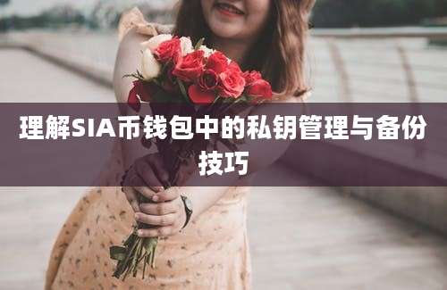 理解SIA币钱包中的私钥管理与备份技巧