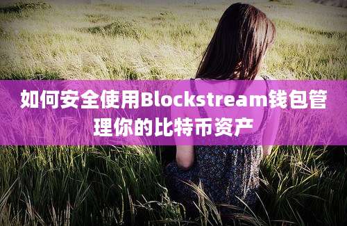 如何安全使用Blockstream钱包管理你的比特币资产