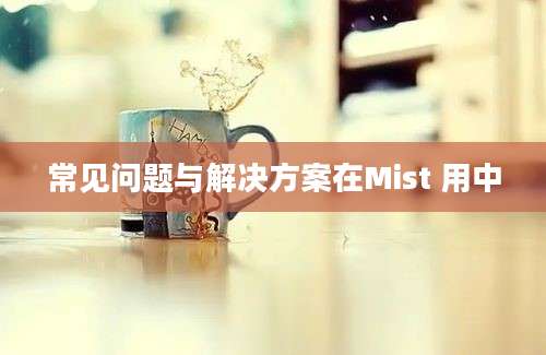 常见问题与解决方案在Mist 用中